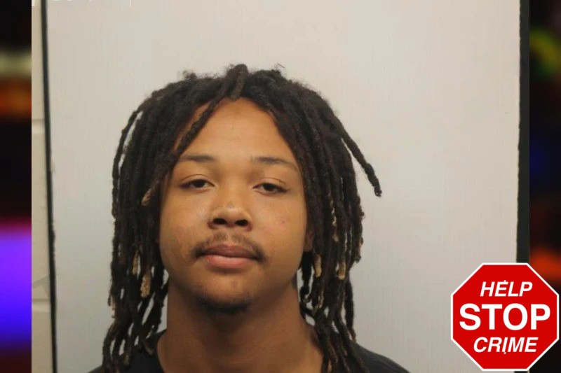 Jaysharee Hollands Mugshots