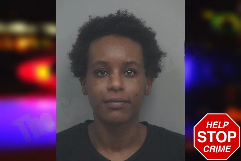 Jazmine Bingham mugshot