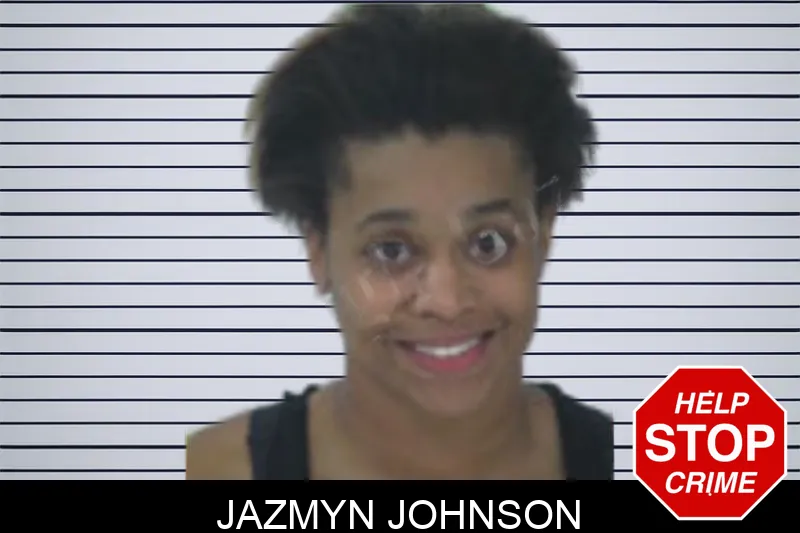 Jazmyn Johnson mugshot – Fayette County , Georgia Jazmyn Johnson mugshot