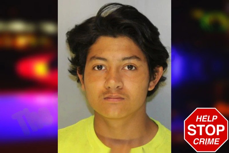 Jefferson Martinez Mugshots