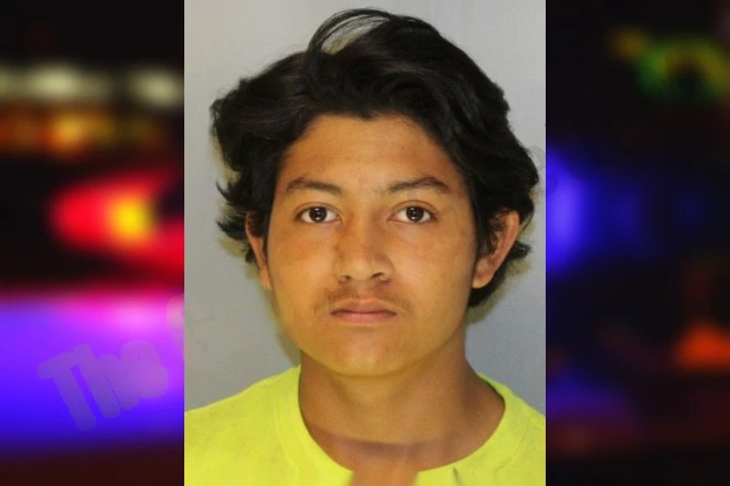 Jefferson Martinez Mugshots