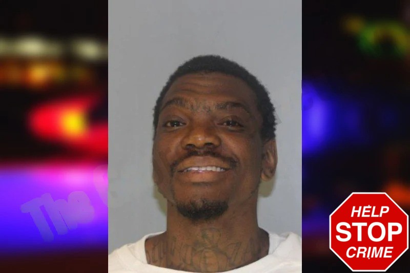 Jeffrey Wilkins Mugshots