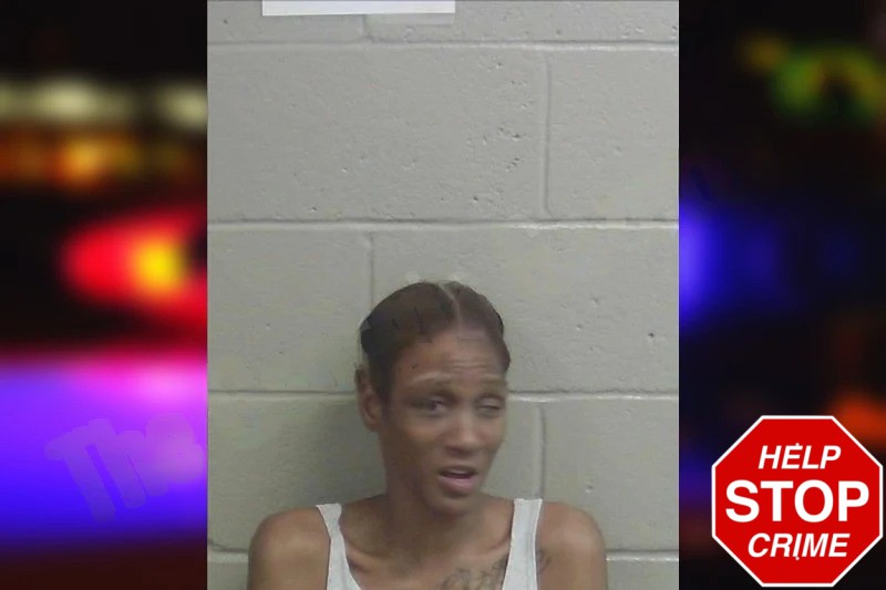 Jemika Snow mugshot – Wayne County , Georgia Jemika Snow mugshot