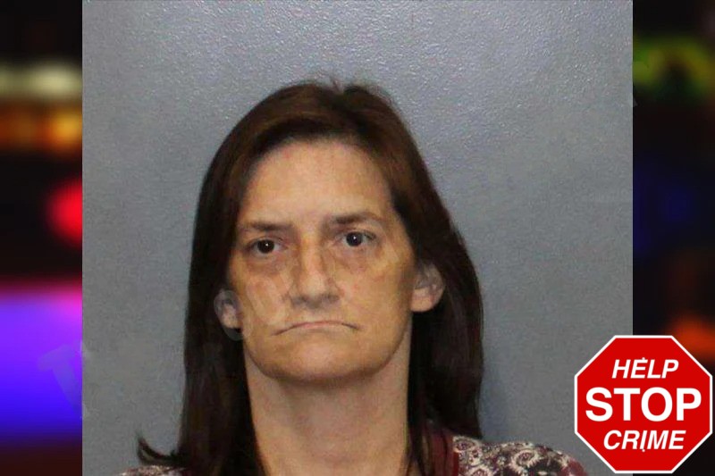 Jenni Sears mugshot – White County , Georgia Jenni Sears mugshot