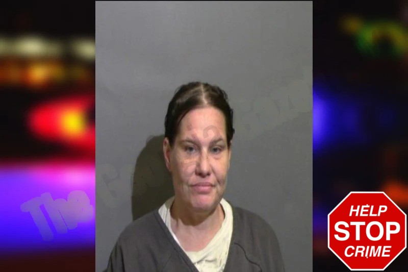 Jennifer Ahnberg Mugshots