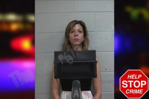 Jennifer Erickson mugshot