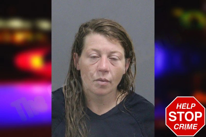 Jennifer Gilbert mugshot – Catoosa County , Georgia Jennifer Gilbert mugshot