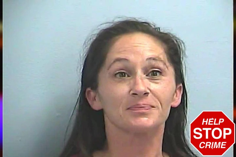 Jennifer Griffin mugshot – Dawson County , Georgia Jennifer Griffin mugshot