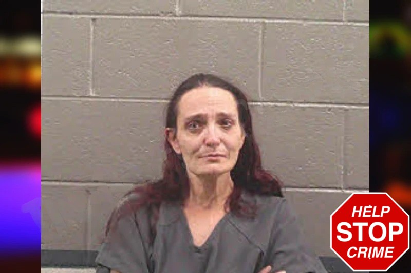 Jennifer Lee Mugshots