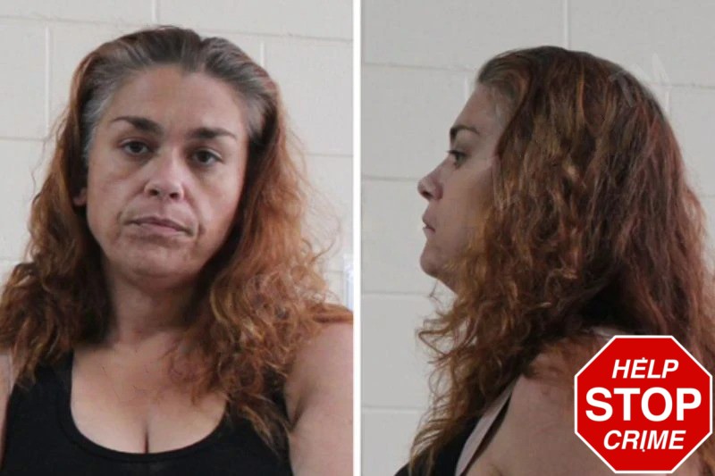 Jennifer McPherson mugshot – Houston County , Georgia Jennifer McPherson mugshot