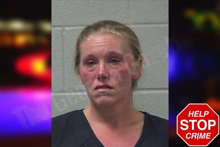 Jennifer Meaders mugshot – Gilmer County , Georgia Jennifer Meaders