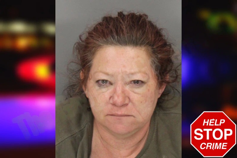 Jennifer Meeks mugshot – Cobb County , Georgia Jennifer Meeks mugshot