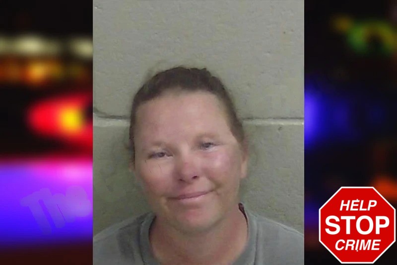 Jennifer Morales mugshot – Wayne County , Georgia Jennifer Morales mugshot