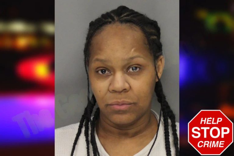 Jennifer Nolton mugshot – Cobb County , Georgia Jennifer Nolton