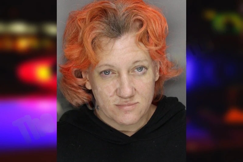 Jennifer Reese Mugshots