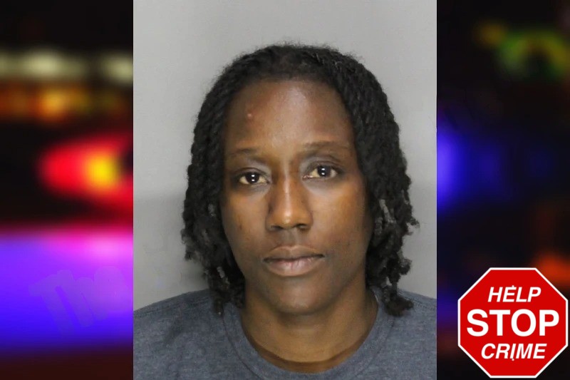 Jennifer Travis Mugshots