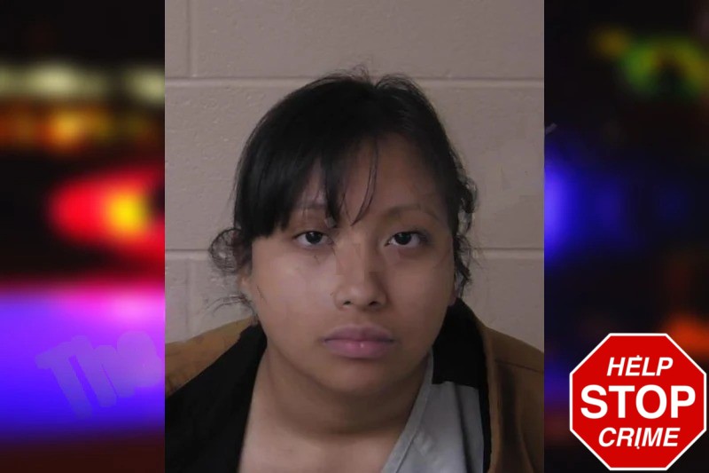 Jennifer Vargas-Velasquez Mugshots