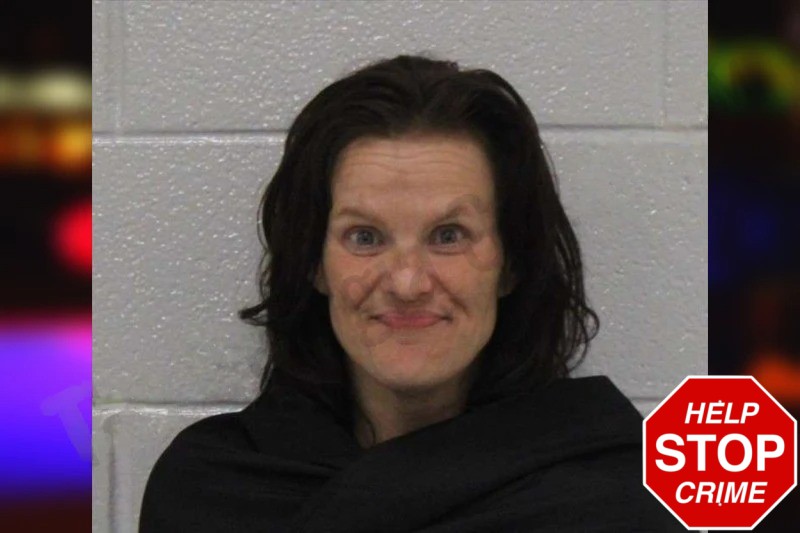 Jennifer Vernor Mugshots