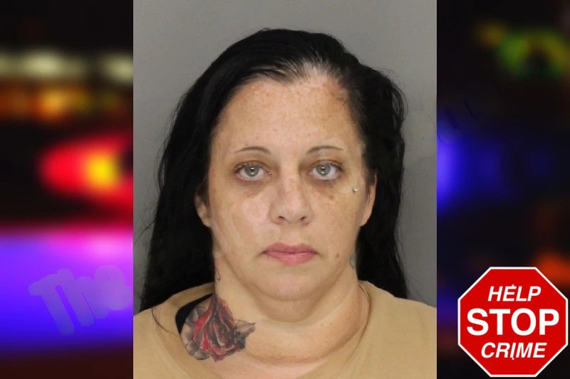 Jennifer Waltz Mugshots