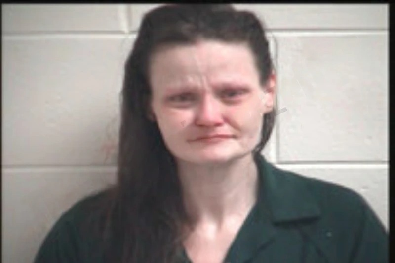 Jennifer Weems Mugshots