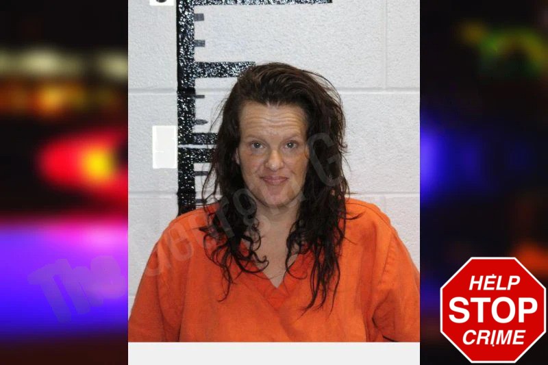 Jennifer Welch Mugshots