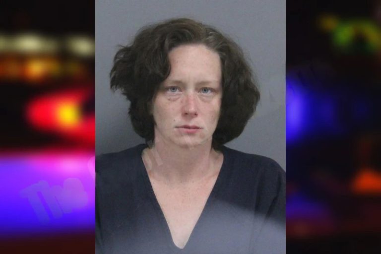 Jennifer Wright mugshot – Catoosa County , Georgia Jennifer Wright