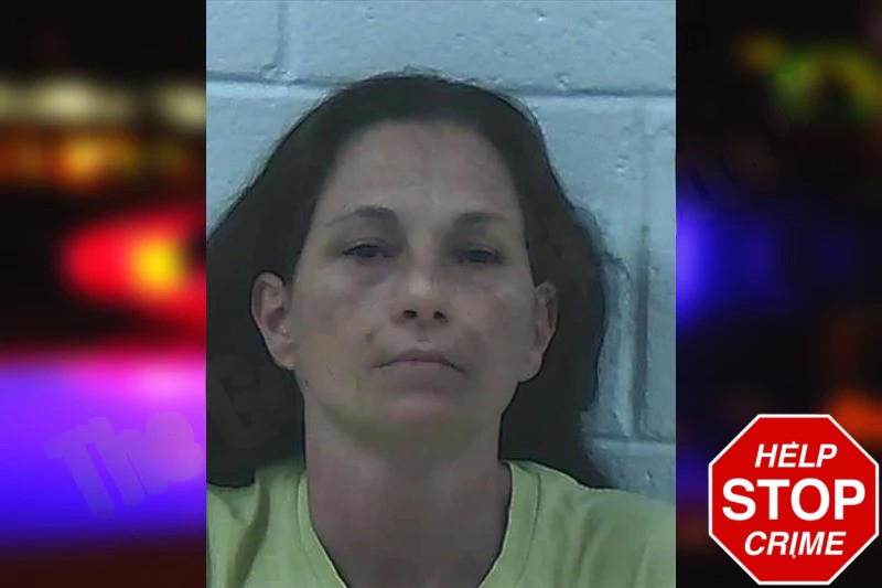 Jenny Hollis Mugshots