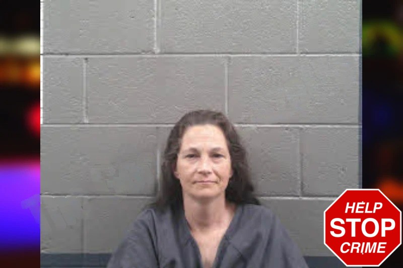 Jenny Hollis mugshot – Banks County , Georgia Jenny Hollis mugshot