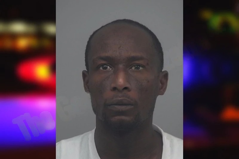 Jenny Michel mugshot