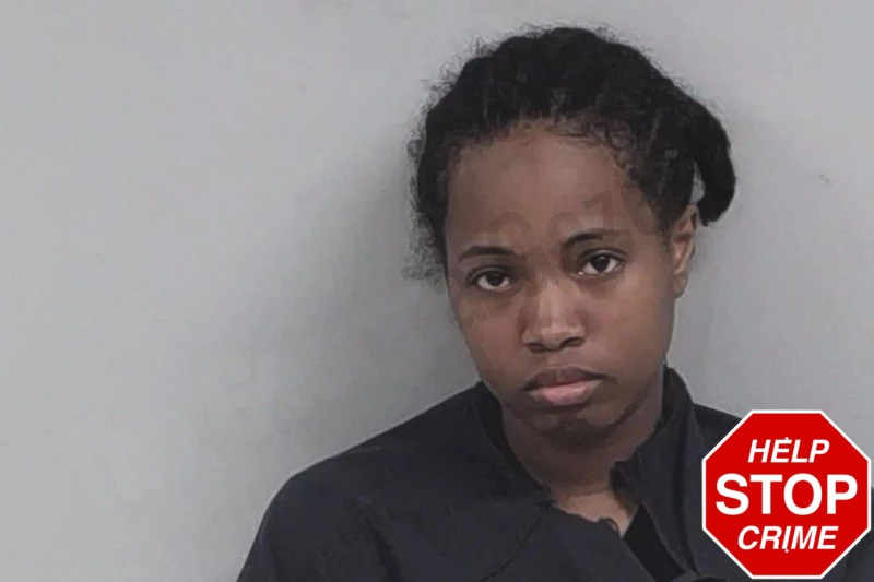 Jerrica Bighams Mugshots