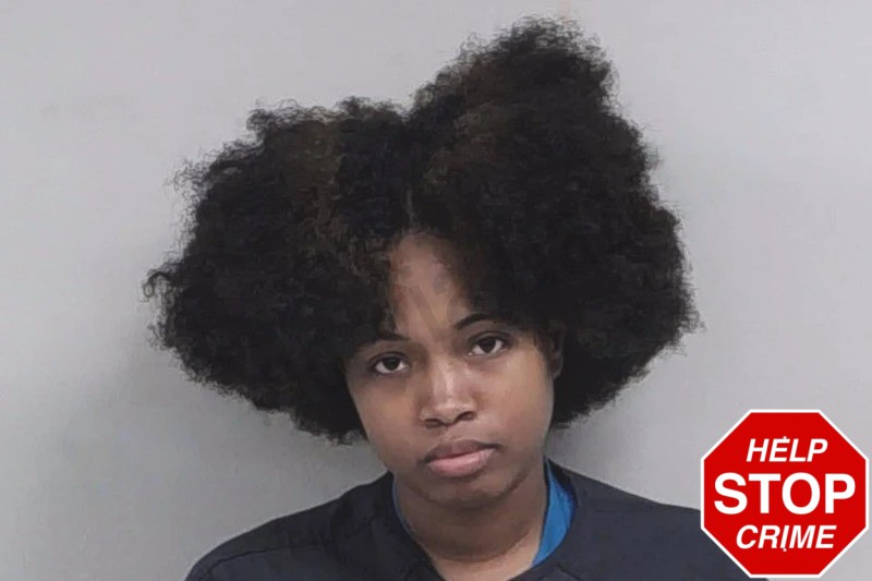 Jerrica Bighams Mugshots