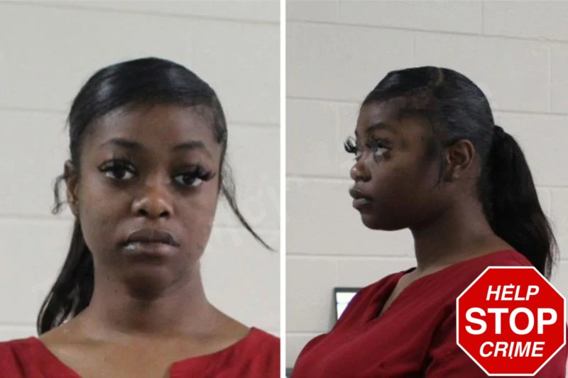 Jerrica Gibbons mugshot – Houston County , Georgia Jerrica Gibbons mugshot