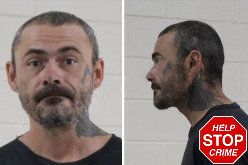 Jerry Wiese Mugshots