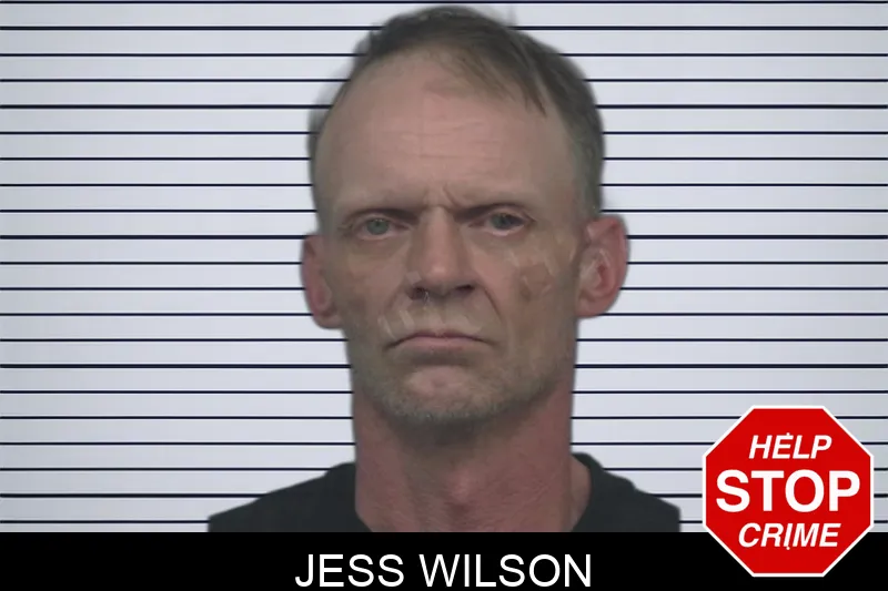 Jess Wilson Mugshots