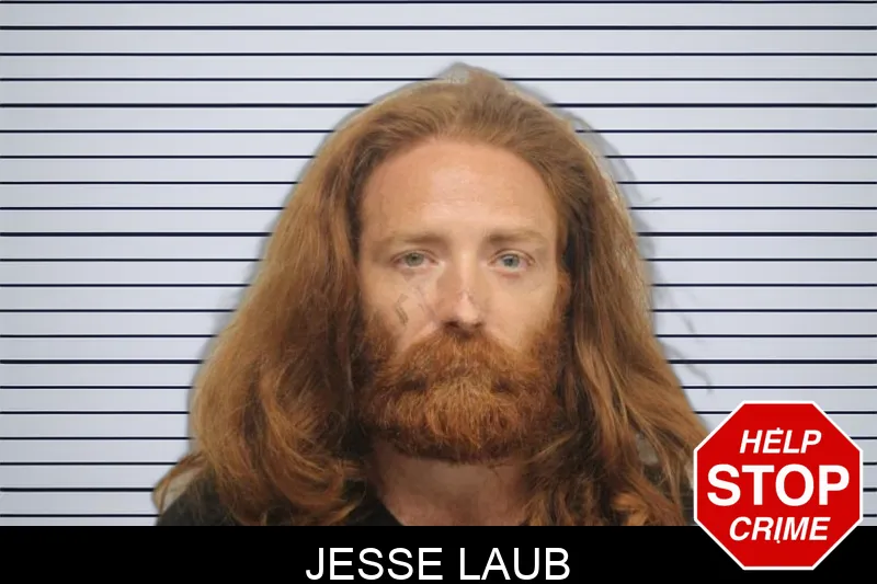 Jesse Laub mugshot