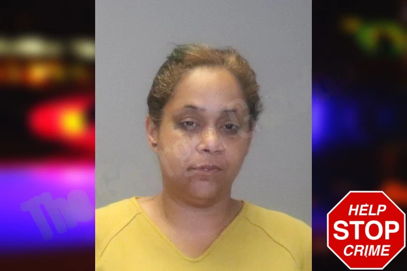 Jesselina Bracero-Maldanado Mugshots