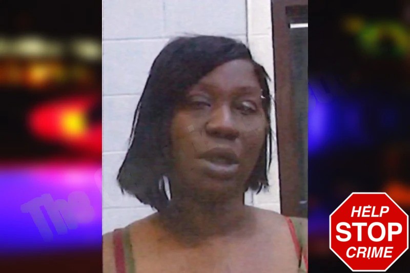 Jessica Barnes Mugshots