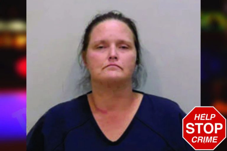 Jessica Beene mugshot – Bartow County , Georgia Jessica Beene