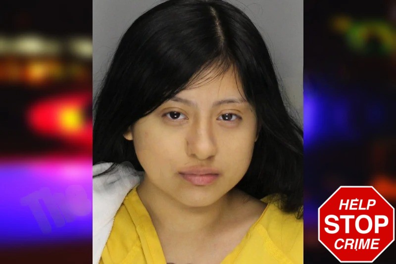 Jessica Borja mugshot – Cobb County , Georgia Jessica Borja mugshot