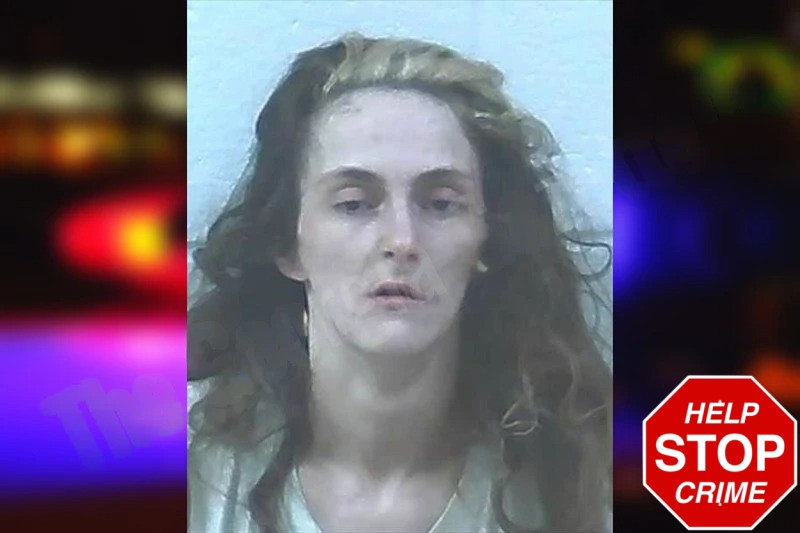 Jessica Conklin Mugshots