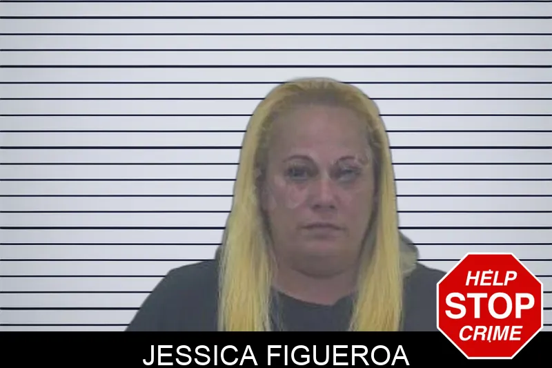 Jessica Figueroa Mugshots