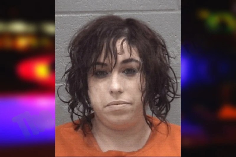 Jessica Francis Mugshots