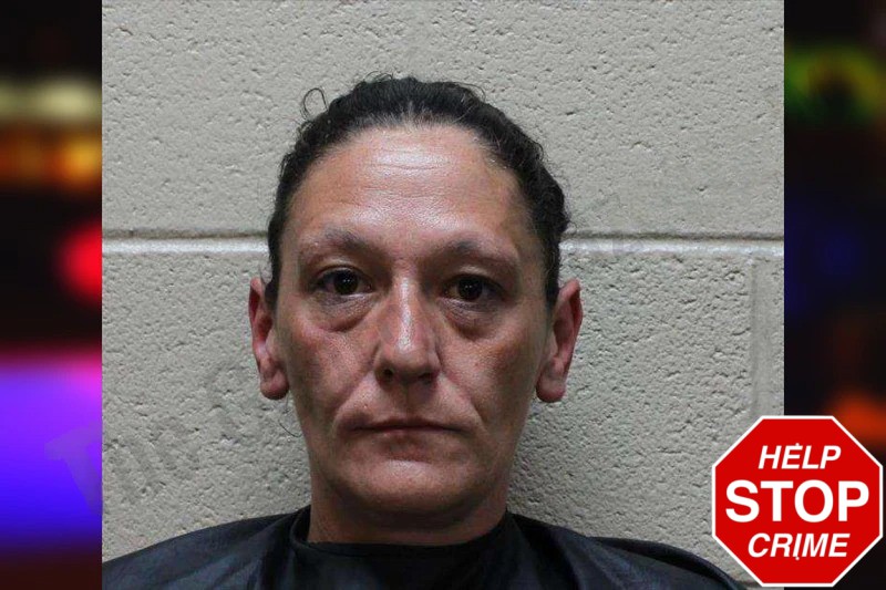 Jessica Hall Mugshots