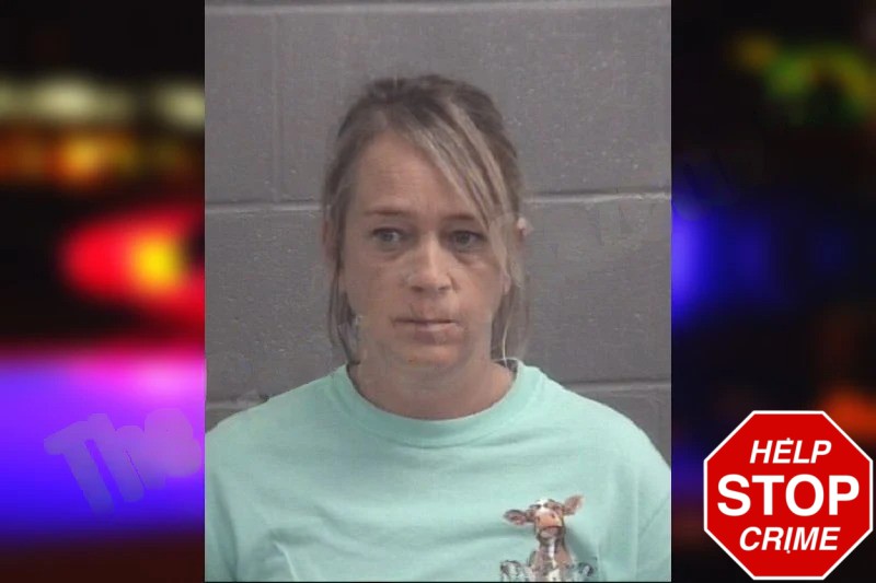 Jessica Hampton mugshot