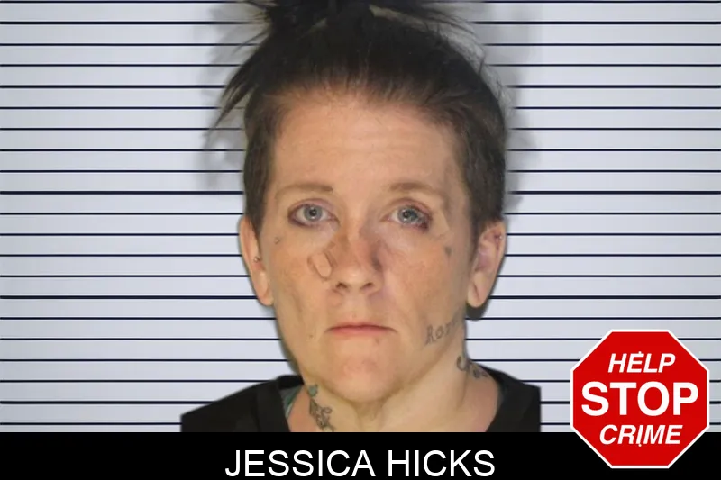 Jessica Hicks Mugshots