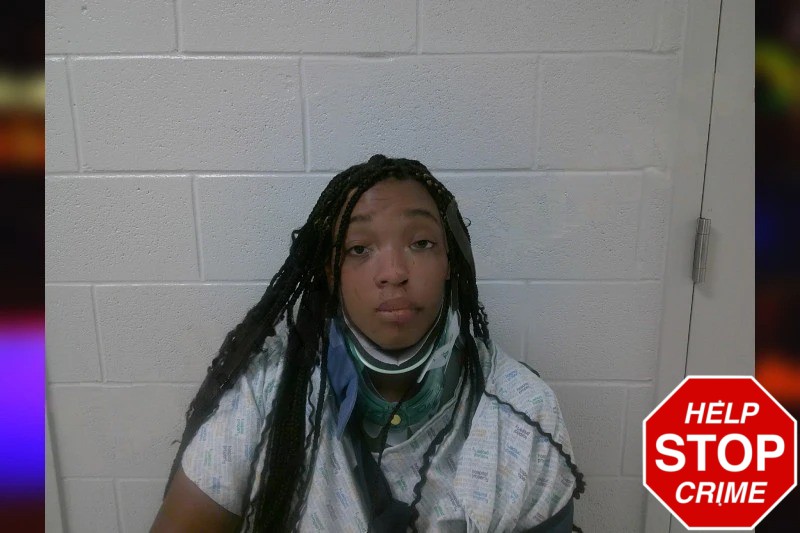 Jessica Hines Mugshots