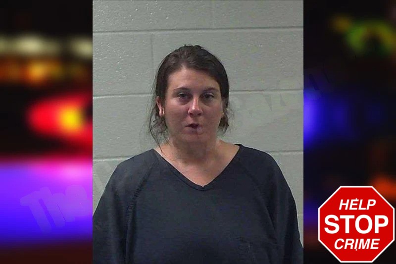 Jessica James Mugshots