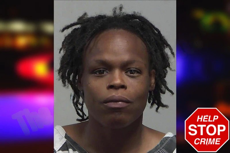 Jessica Pina Mugshots