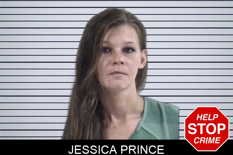 Jessica Prince Mugshots