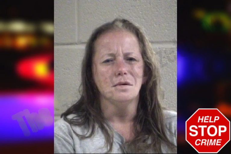 Jessica Quijada-Salazar mugshot – Whitfield County , Georgia Jessica Quijada-Salazar